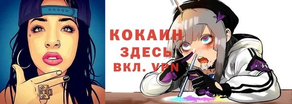бошки Лагань